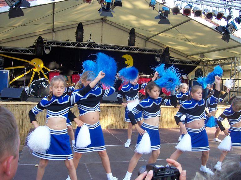 Dorffest 2008 (17)