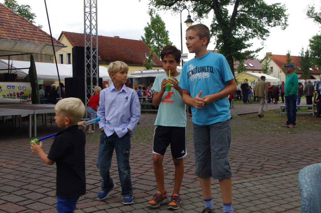 Dorffest 2014 (4)